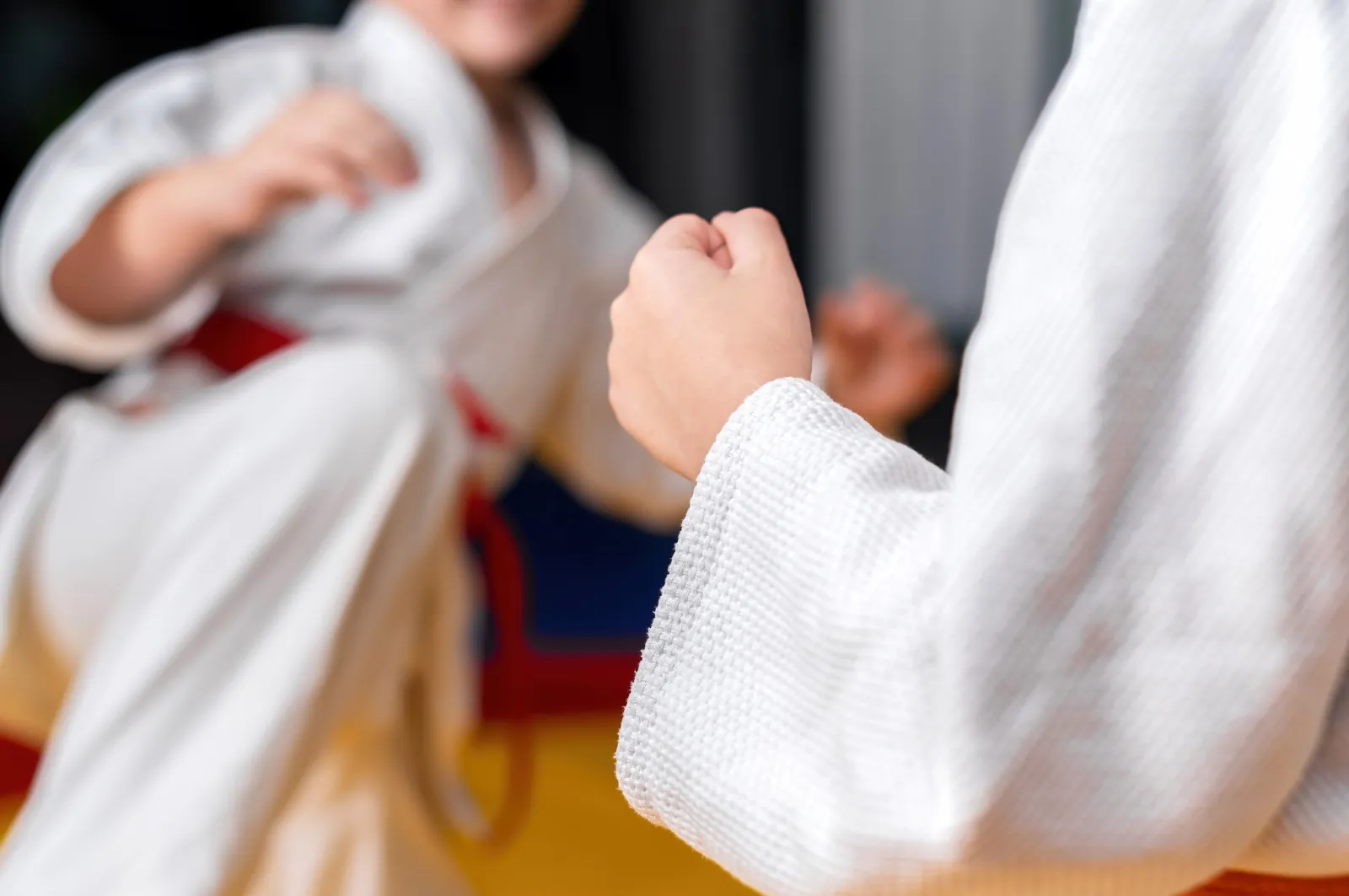 Welcome to Dmvstar Sport and Martial Art